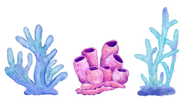 Watercolor illustration of corals in blue turquoise purple colors, ocean sea underwater wildlife animals. Nautical summer beach design, Australian reef life nature, natural environment clipart