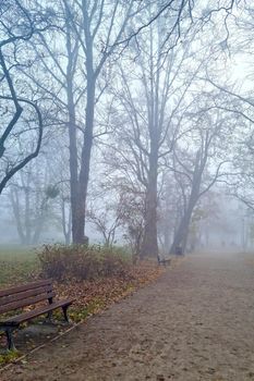 A mystical foggy morning in the park in the fall