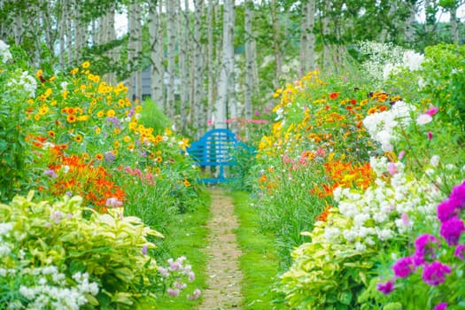 Road surrounded by multicolored flowers. Shooting Location: Hokkaido Furano