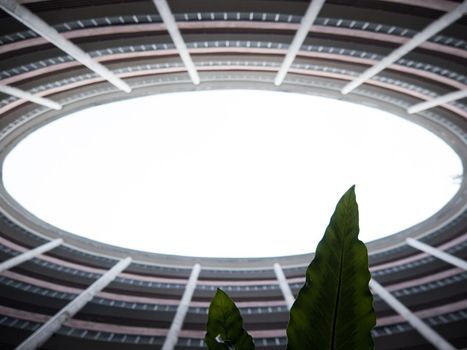 Exterior of an oval building with small area for plant and flowers