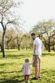 father and his adorable toddler daughter having fun in blossoming cherry garden on beautiful spring day.