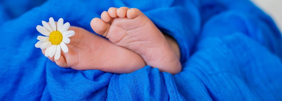Newborn baby sleeping on a blue background. Selective focus. people.