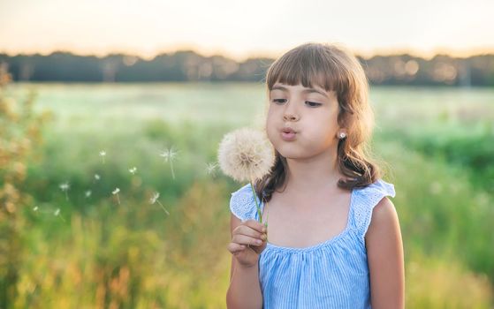 child girl blowing a dandelion. Selective focus.