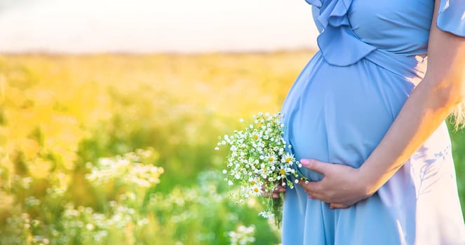 pregnant woman with camomiles in hands. Selective focus. nature.