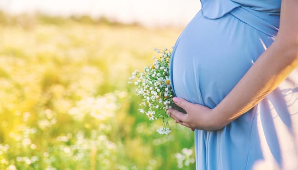 pregnant woman with camomiles in hands. Selective focus. nature.