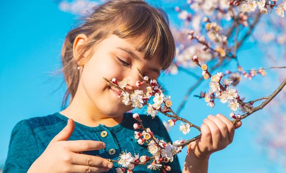 A child in the garden of flowering trees. Selective focus. Nature.