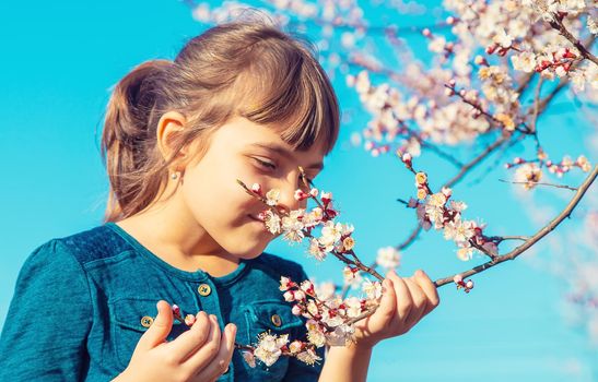 A child in the garden of flowering trees. Selective focus. Nature.