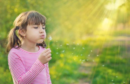 Child girl with dandelions in the park. Selective focus.