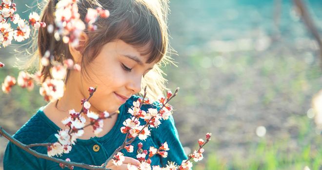 A child in the garden of flowering trees. Selective focus. Nature.