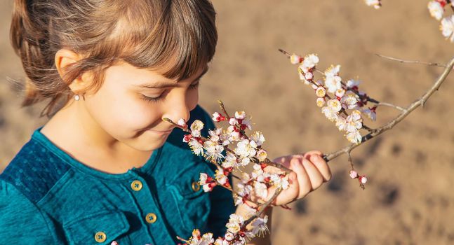 A child in the garden of flowering trees. Selective focus. Nature.