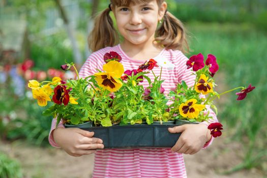 A child plants a flower garden. Selective focus. nature.