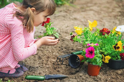 A child plants a flower garden. Selective focus. nature.