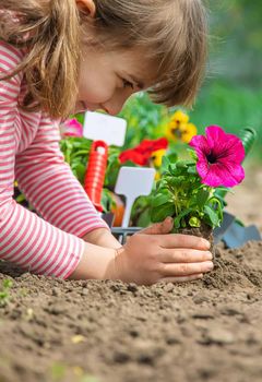 Child and mother plant flowers in the garden. Selective focus. nature.