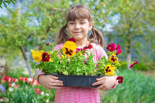 A child plants a flower garden. Selective focus. nature.