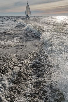 Splashes water of motor boat in the foreground, sailing yachts at sunset in background, sail regatta, big waves. High quality photo