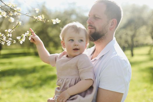 father and his adorable toddler daughter having fun in blossoming cherry garden on beautiful spring day.