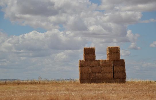 Straw bales piled up in the field waiting to be transported