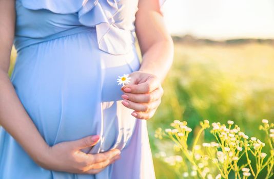 pregnant woman with camomiles in hands. Selective focus. nature.