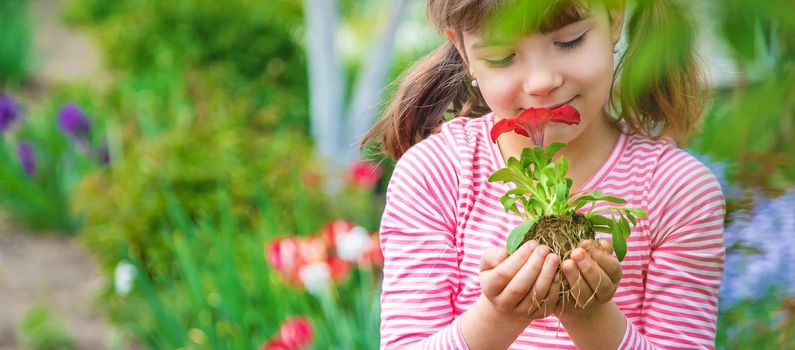 A child plants a flower garden. Selective focus. nature.