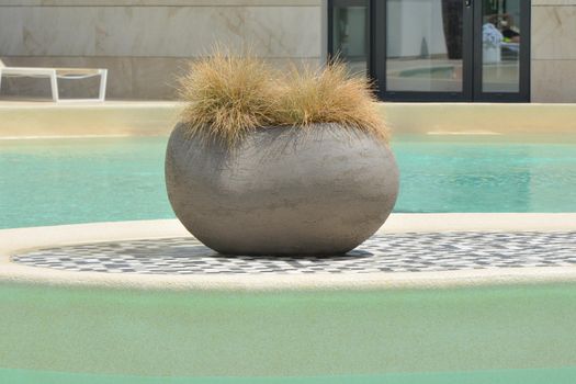 Plant in a clay pot in a modern swimming pool