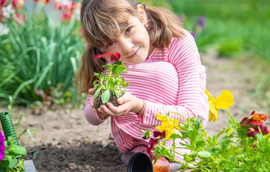 A child plants a flower garden. Selective focus. nature.