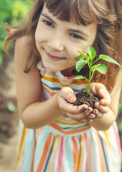 A child with seedlings in his hands in the garden. Selective focus. people.