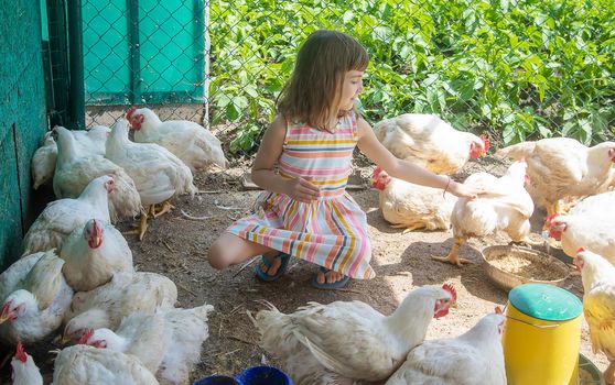 A child on a farm with a chicken. Selective focus.