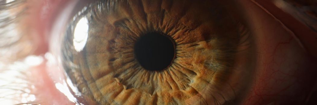 Close up of beautiful brown green human eye. Detective agency concept