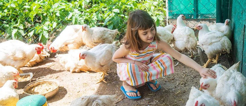 A child on a farm with a chicken. Selective focus.