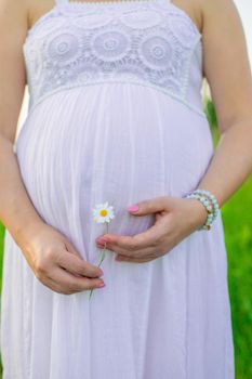 Pregnant woman with a camomile in hands. Selective focus. nature.