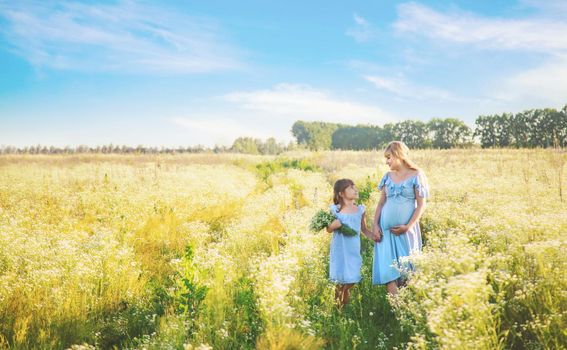 pregnant woman with daughter in a field of chamomile. Selective focus.