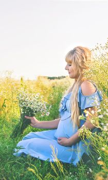 pregnant woman with camomiles in hands. Selective focus. nature.