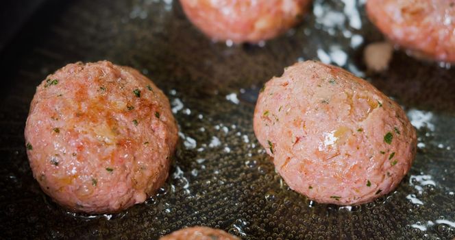 Tasty Meatballs Frying on Hot Pan Art Food, Gourmet Meal