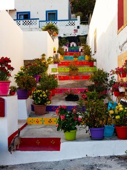 View of a typical colored house in Linosa with the staircase full of flower pots