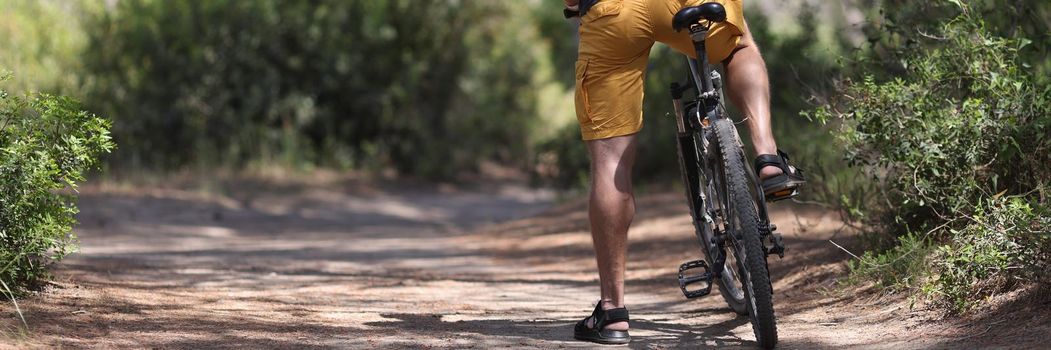 Back view of man sitting on bicycle on forest road. Healthy lifestyle concept