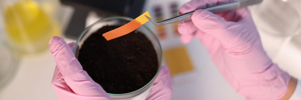 Scientist chemist checking soil acidity using litmus paper in laboratory closeup. Fertilizer production concept