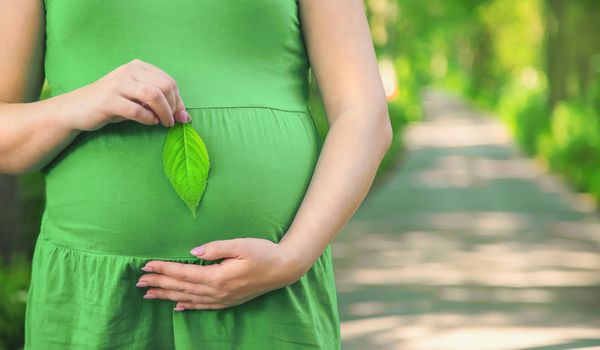 A pregnant woman in a park holds a green leaf. Selective focus. people.