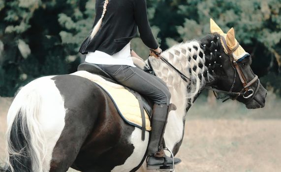 Rider on a beautifully decorated horse during a horse riding competition