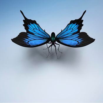 Beautiful blue tropical butterfly Morpho didius with outstretched wings on a blue background. 3D-visualization. Copy space