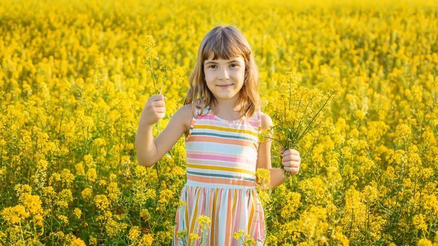 A child in a yellow field, mustard blooms. Selective focus..