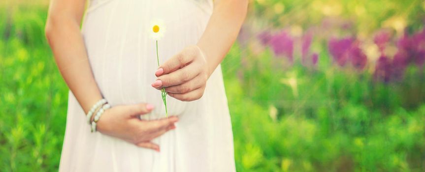 Pregnant woman with a camomile in hands. Selective focus. nature.