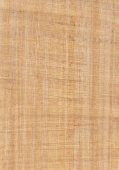 Natural papyrus from Egypt as background. Traditional Egyptian paper.