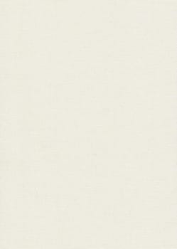 light natural linen texture as background. Empty linen.