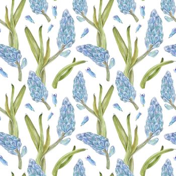 Hyachinth watercolor seamless pattern on a white, watercolor with clipping path