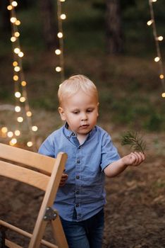 happy children play in a summer pine forest against the background of lights