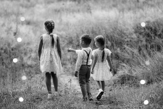 happy children play in a summer pine forest against the background of lights