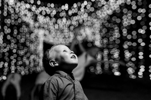 happy children play in a summer pine forest against the background of lights