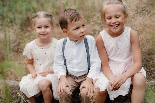 happy children play in a summer pine forest against the background of lights