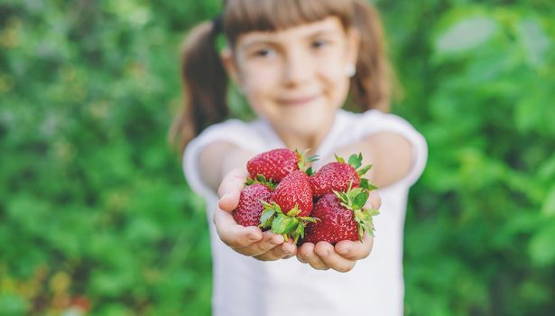 A child with strawberries in the hands. Selective focus. food.