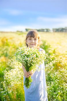 Child girl in a camomile field. Selective focus. nature.